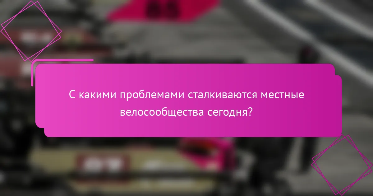С какими проблемами сталкиваются местные велосообщества сегодня?